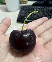 �����ļ�Ʒ�����ӣ�̫�����ˣ��ִ������ִ�