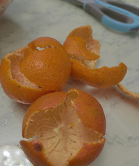 ɳǽۺ𣬺֭ܶˮɳͣ