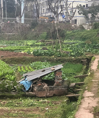 �����ǲι�ũ����ɫ����ű���û����Щ����