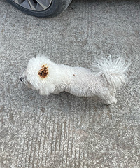 ���꿾����ܺ��߳�����