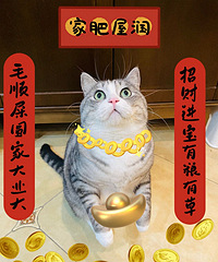 ��������ף��Һ�������