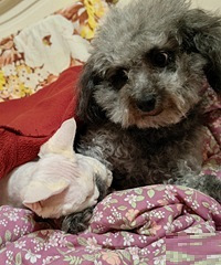 2Сֻϴ����Ҳ�ܺ�г�ദ