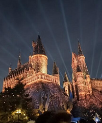 ���α�����Ʊ����Լ