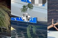 Ϊɶ��������ϲ���ڳ��Ϲ�һ���ݣ�����ʲô˵����