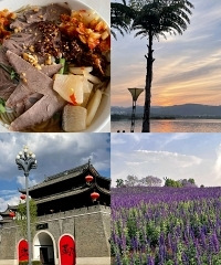 我在云南旅居了一个月