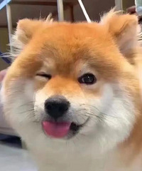 ������ֵ����KIKO�ں�28.9�����ݷ�������������59