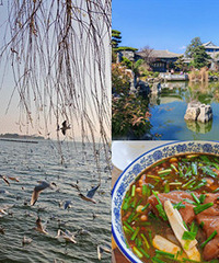 ���ɺ�+��ˮ+Ԫ������+ʯ��������