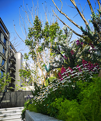 ���ղ̼���ͷ��������۪�彭����԰��5��2��2����200��