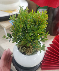 16�������ֲ����ͦ�ÿ�