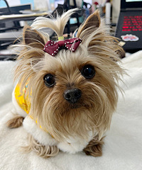 7��Լ�������ã�������