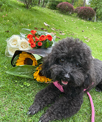 ҡ������������ĺܿ���