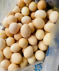 ���ҿ������ǲ������쵰��