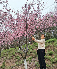 58158CMİϰ飬ϣԷԸͰ