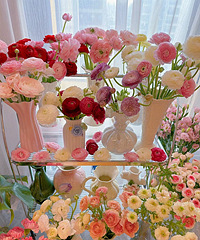 ��������ĵ����3��39Ԫ