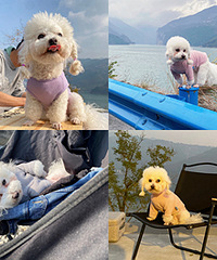 ��������Խ�����Խ�࣬ϴ��ȫ��ƭ