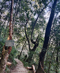 �����Լݸ��蹱ɽ��������������̲�ߵ�Ұ��Ȫ