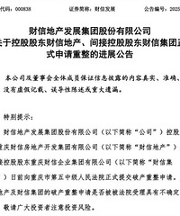财信地产申请破产重整