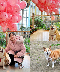 ��С��ȥ�򿨹⻷���˽�װ�Σ���ÿ�