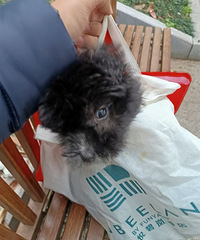 �ܱ������ѻ������п�������ǲ��į��������Ŀ�ɿڴ�
