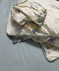 ԵԼ۱ļףȫɴ238ˮϴ˫ɴ98