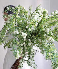 30���ºÿ���ƮѩС����