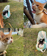 ƽʱ����񲡱����ţ�����֣�һ������