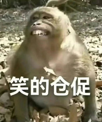 ������ֵ��������NA9C����399���汶��������2��52