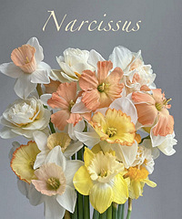 �����׷���ˮ��35Ԫʮ֦