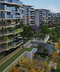 �������Ч�����Ż�����