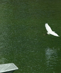 ´Ϫ�����д�����������һ������򿨵�����