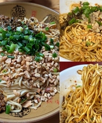 去宜宾吃了燃面,果然好吃的都在巷子里