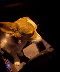 �°�̫����С������������