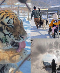 东北除了雪乡,这里才是便宜又好耍