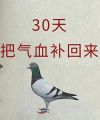 姐妹们,谁懂气皿不足的痛?养气血30天,就靠这些食补了
