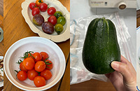 ͥ۲ͣƻ˿ϺʣҶ˵ó