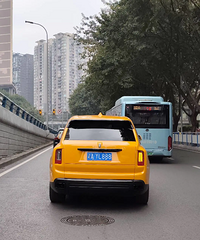 �����ͷ��������ɫ��˹��˹����A888����