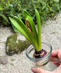 ˮ��ķ�����Ҫ������