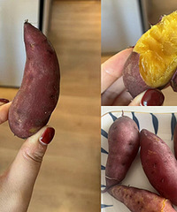 ��֬�ڶٶٶ��ڳ�С������ȫ���˶�ϲ��