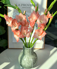 ˮ����ɫ����48Ԫ16֦