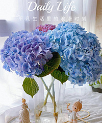 39����5֦���򣬻���