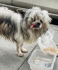 Ƚ�Ұӣ�˭�ҵĹ���������