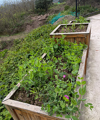 [��ҵ]����ķ��ز������̶���������ʩ����λҲ������