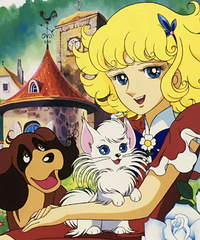 ����ֻ������è����������