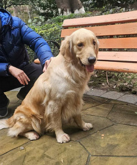 ˭�Ľ�ë�����ں����ض���