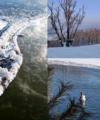 �����뿴ѩ��ѡ���ֿ϶������