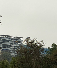 ��ï��̨�����Ѿ����Ѿ�װ����