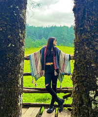 93161CMְ飬ϣԷ93~88