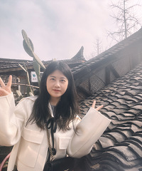 91163CMС飬ĿͶ걨๤