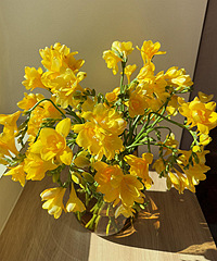 �����ذ���ѩ�� ���ÿ���