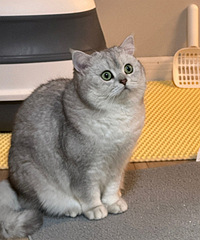 Сè��զ�ˣ�����ȥ������